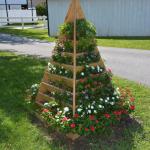 2017OTRA-1_498 (August 24, 2017)